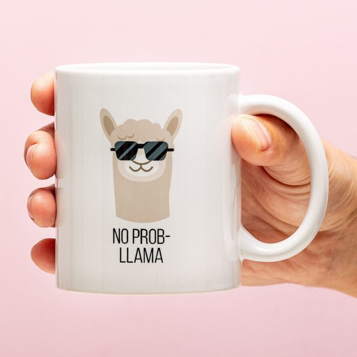 Mok No Prob-llama