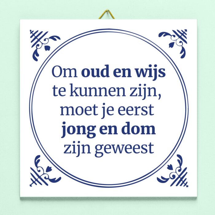 Tegeltje Jong En Dom